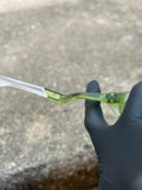 Plantaris Transparent Fern Vr28