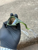 Plantaris Transparent Fern Vr28