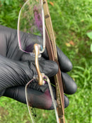 Lupa de Descanso Tz da Coronel Dourada