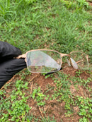 Coilover Descanso Dourada